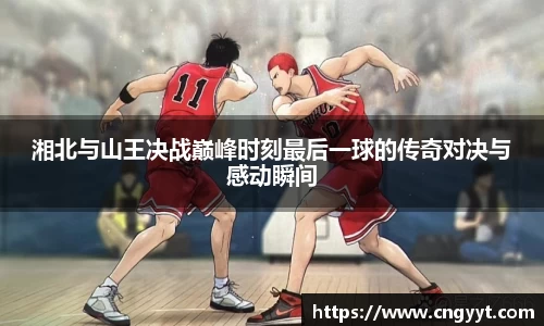 球速体育官方网站